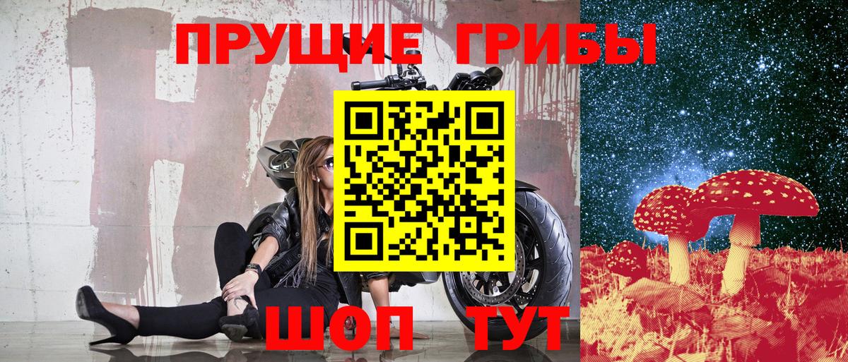 сколько стоит  Вход с VPN  Галлюциногенные грибы GOLDEN TEACHER  Дюртюли  Галлюциногенные грибы MAGIC MUSHROOMS 